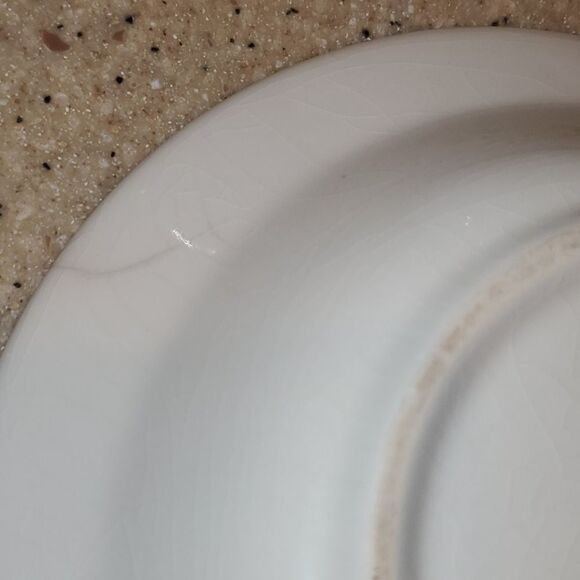 Pfaltzgraff Juniper 8.5" Bowls Set of 2 - Picture 9 of 11